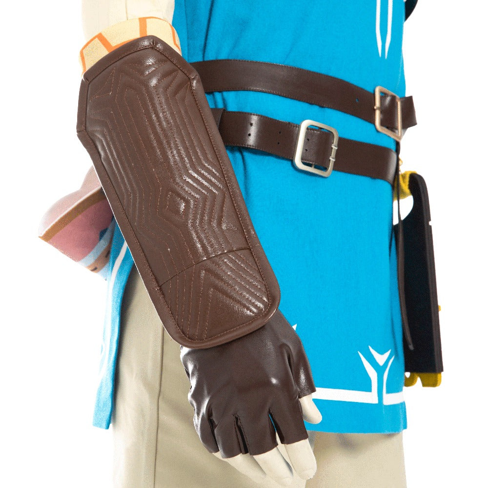 Wild Link Blue Cosplay